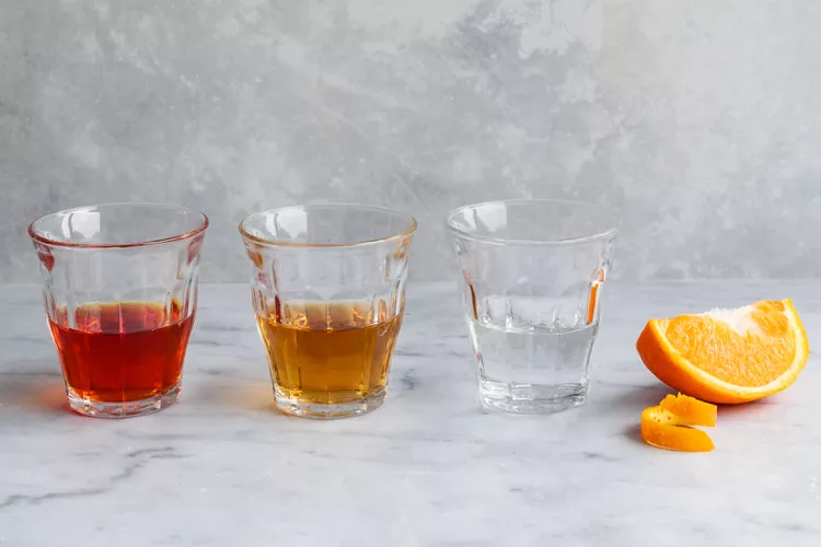 Negroni Cocktail Ingredients