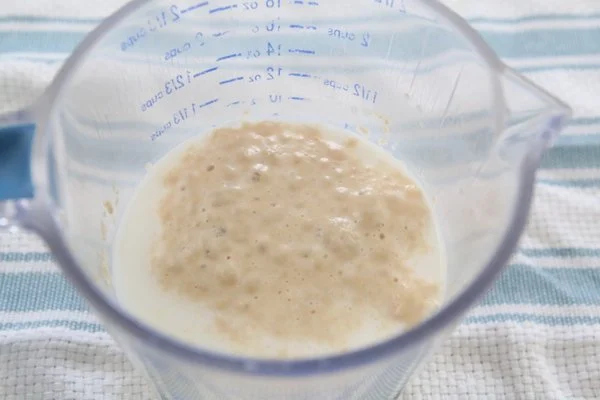 Stir in the yeast and allow it to proof for 5 minutes until slightly foamy