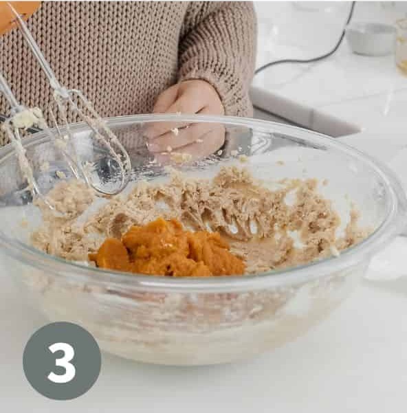 Add the egg and vanilla extract. Beat until fully incorporated and no streaks remain. Mix in the blotted pumpkin puree until combined