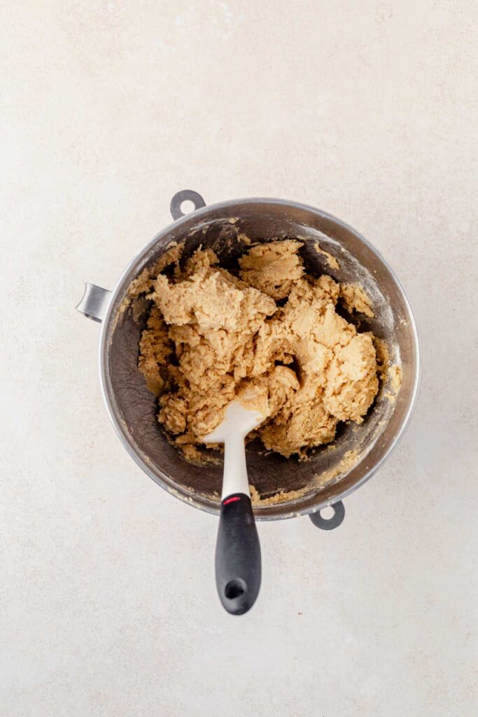 Gradually mix into the wet ingredients until combined. Cover and chill the dough for 1 hour