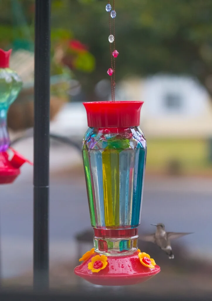 Hummingbird Nectar Recipe 2