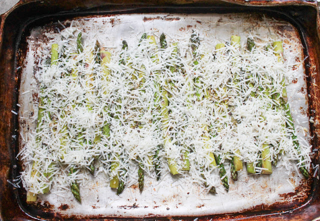 Sprinkle the grated Parmesan over the top